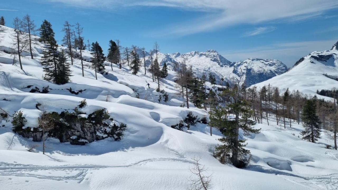 Pension Erlhof Saalfelden Luaran gambar