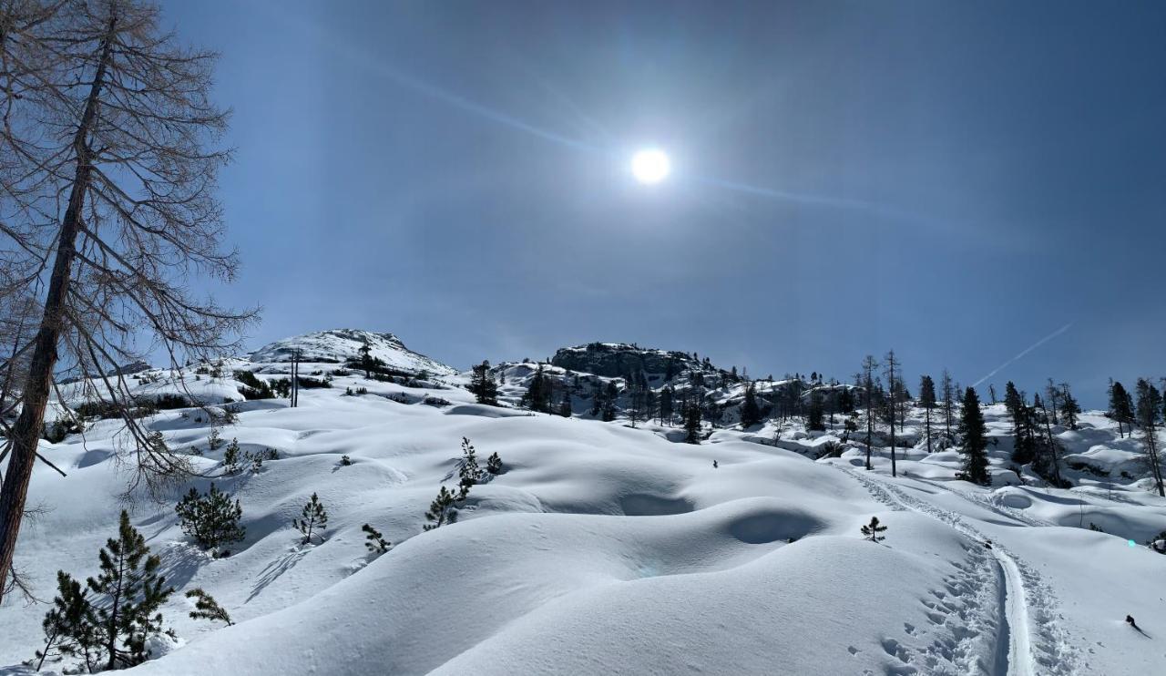 Pension Erlhof Saalfelden Luaran gambar