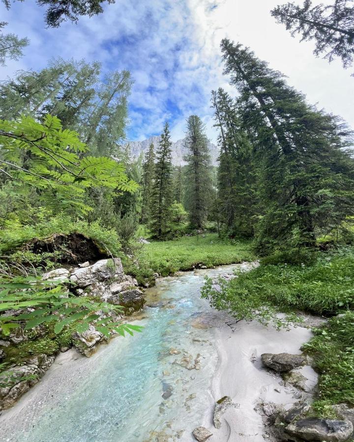 Pension Erlhof Saalfelden Luaran gambar